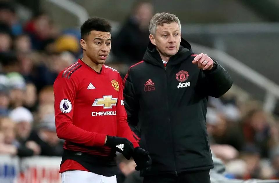 的情感背景 的情感背景